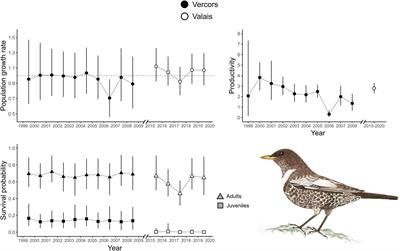 Variation in Demography and Life-History Strategies Across the Range of a Declining Mountain Bird Species